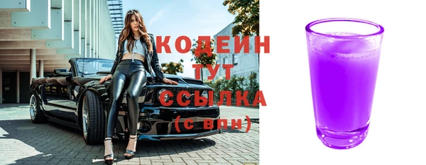гидра Богородицк