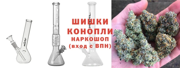 гидра Богородицк