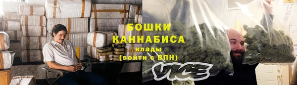 гидра Богородицк