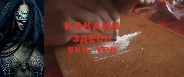 гидра Богородицк