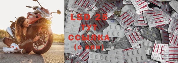 гидра Богородицк