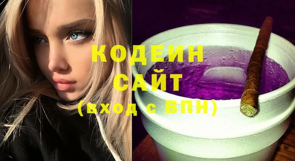 гидра Богородицк