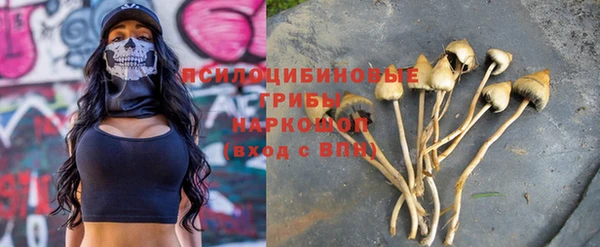 a pvp Богданович