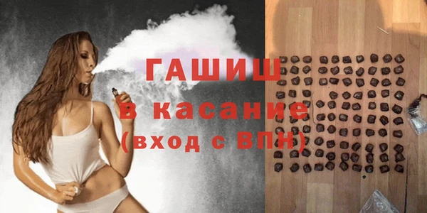 гидра Богородицк