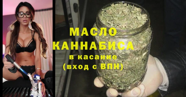 гидра Богородицк