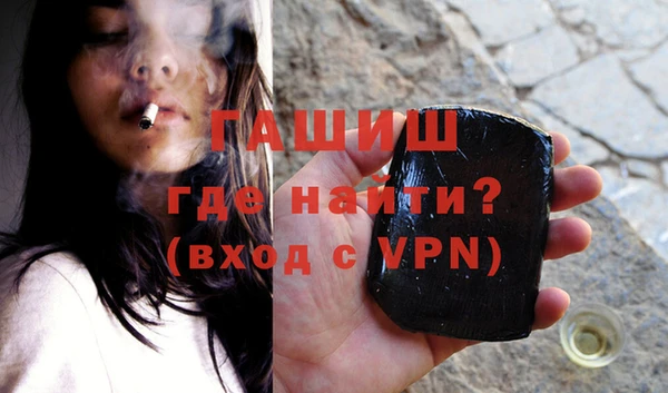 гидра Богородицк