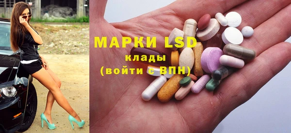 гидра Богородицк