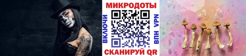 Галлюциногенные грибы Cubensis  Купить  Лосино-Петровский 